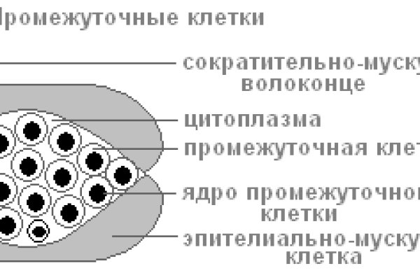 Ссылка на кракен тор магазин