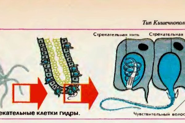 Кракен даркнет купить