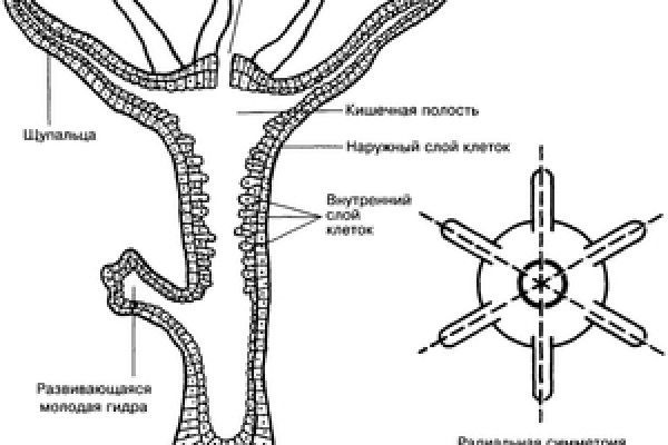 Кракен сайт