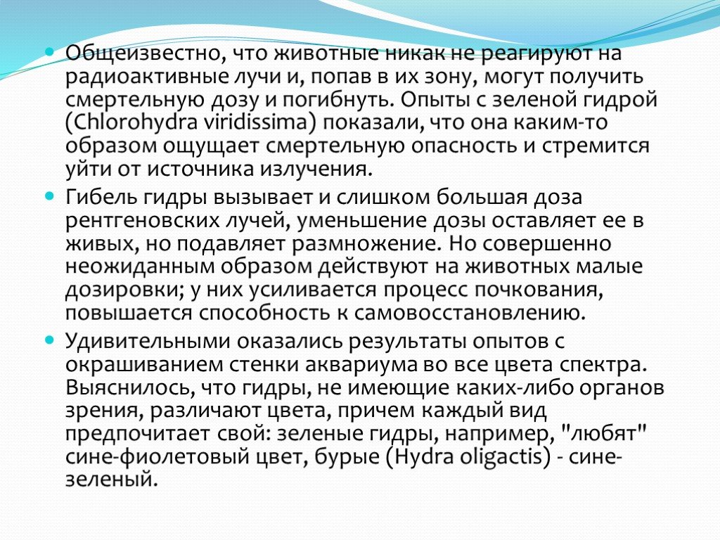 Кракен маркетплейс зеркало